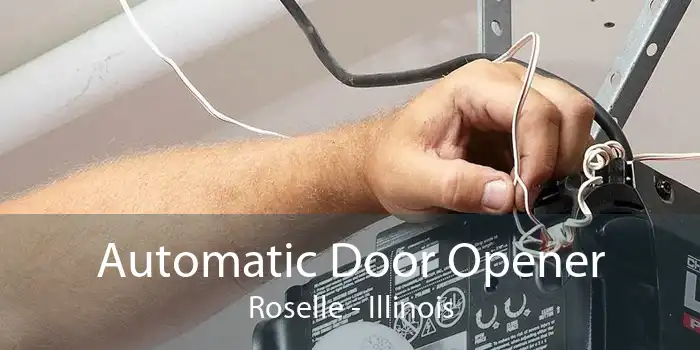 Automatic Door Opener Roselle - Illinois