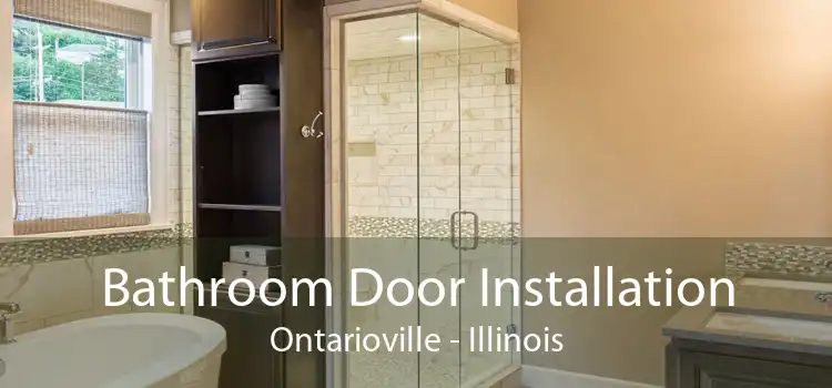 Bathroom Door Installation Ontarioville - Illinois