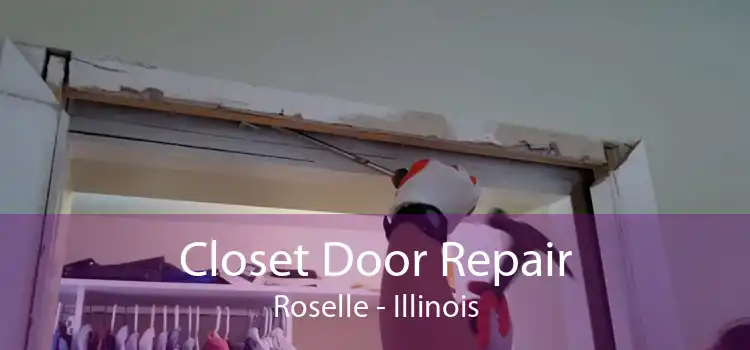 Closet Door Repair Roselle - Illinois