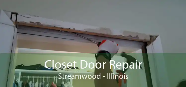 Closet Door Repair Streamwood - Illinois