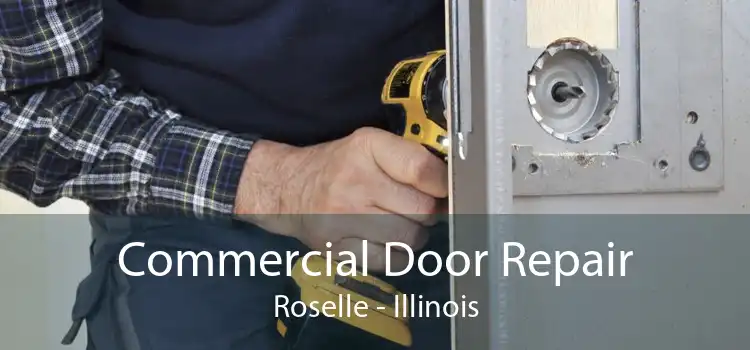 Commercial Door Repair Roselle - Illinois