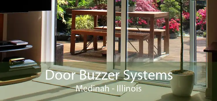 Door Buzzer Systems Medinah - Illinois