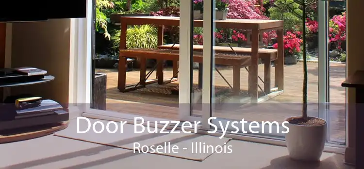 Door Buzzer Systems Roselle - Illinois