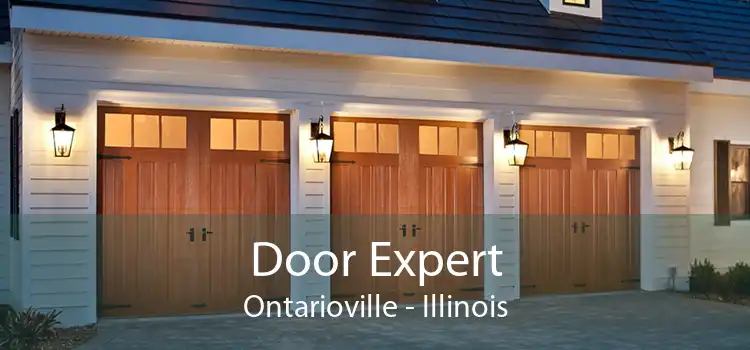 Door Expert Ontarioville - Illinois