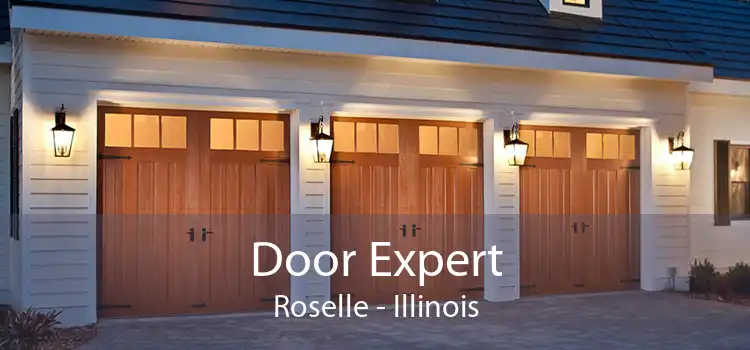 Door Expert Roselle - Illinois