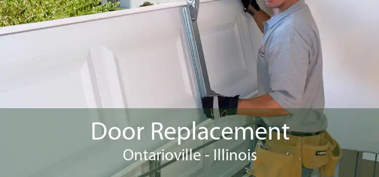 Door Replacement Ontarioville - Illinois