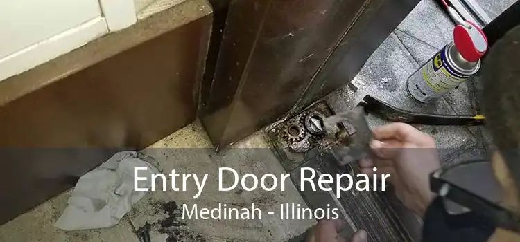 Entry Door Repair Medinah - Illinois