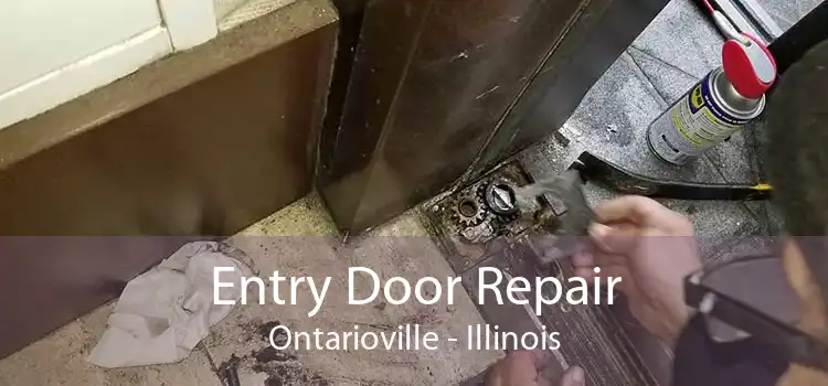 Entry Door Repair Ontarioville - Illinois