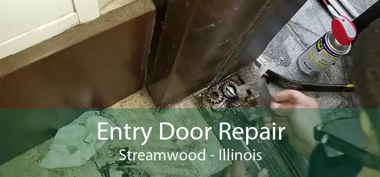 Entry Door Repair Streamwood - Illinois