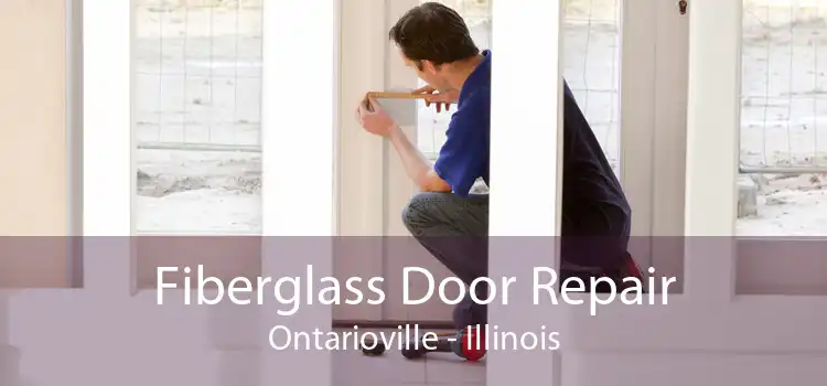 Fiberglass Door Repair Ontarioville - Illinois