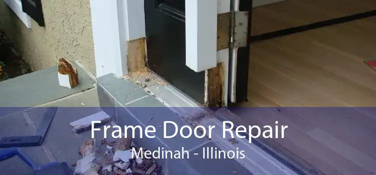 Frame Door Repair Medinah - Illinois