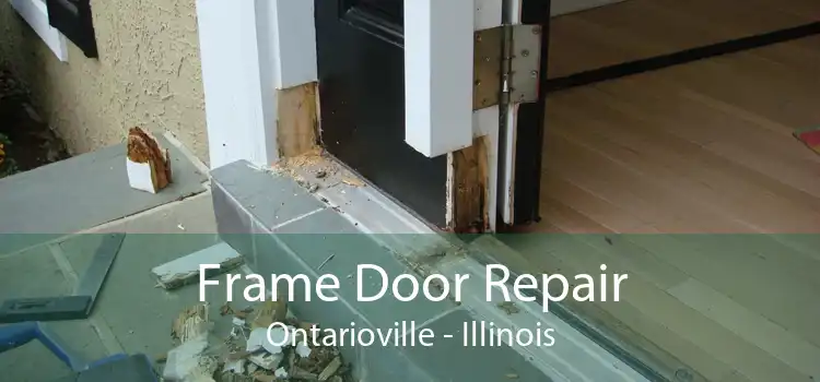 Frame Door Repair Ontarioville - Illinois