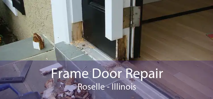 Frame Door Repair Roselle - Illinois