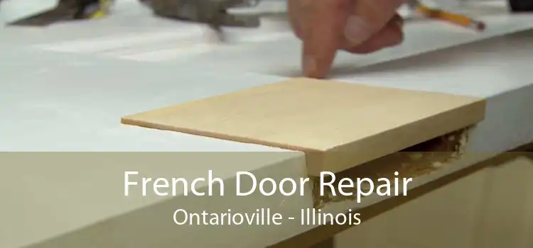 French Door Repair Ontarioville - Illinois