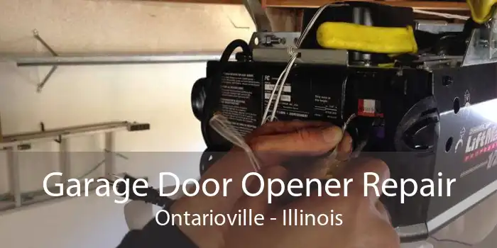 Garage Door Opener Repair Ontarioville - Illinois