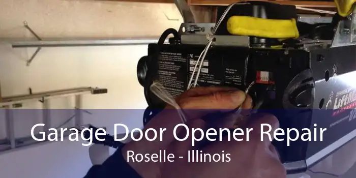 Garage Door Opener Repair Roselle - Illinois