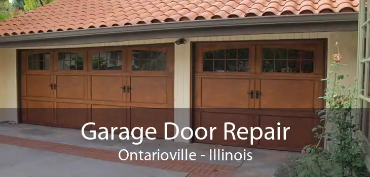 Garage Door Repair Ontarioville - Illinois