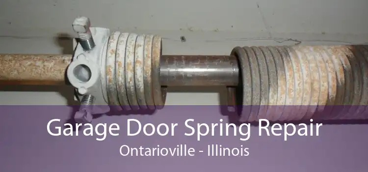 Garage Door Spring Repair Ontarioville - Illinois