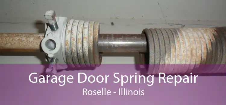 Garage Door Spring Repair Roselle - Illinois