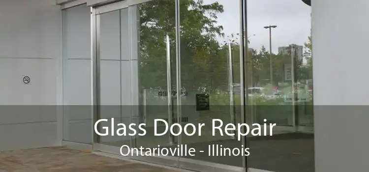 Glass Door Repair Ontarioville - Illinois