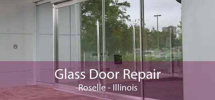 Glass Door Repair Roselle - Illinois