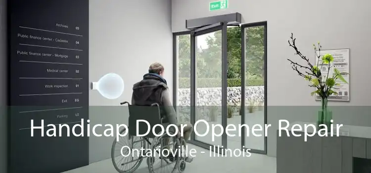 Handicap Door Opener Repair Ontarioville - Illinois