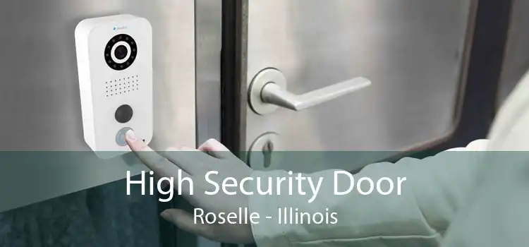 High Security Door Roselle - Illinois