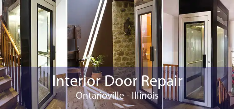 Interior Door Repair Ontarioville - Illinois