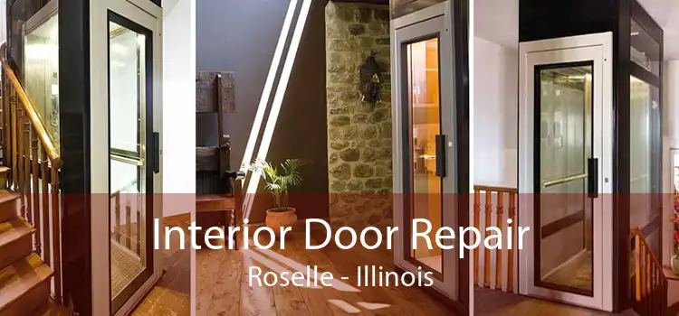 Interior Door Repair Roselle - Illinois