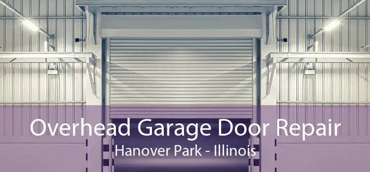 Overhead Garage Door Repair Hanover Park - Illinois