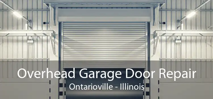 Overhead Garage Door Repair Ontarioville - Illinois