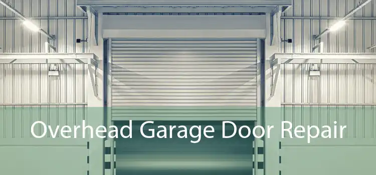 Overhead Garage Door Repair 