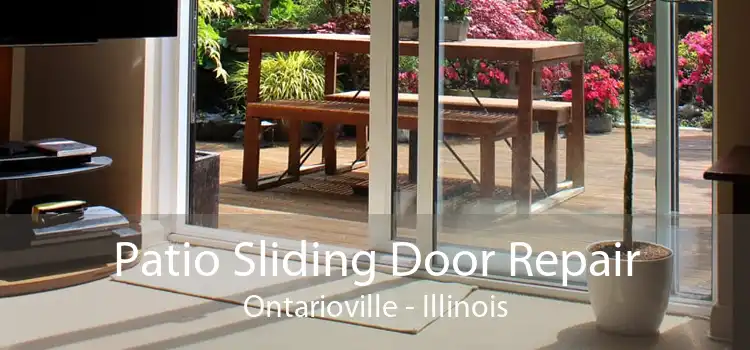 Patio Sliding Door Repair Ontarioville - Illinois