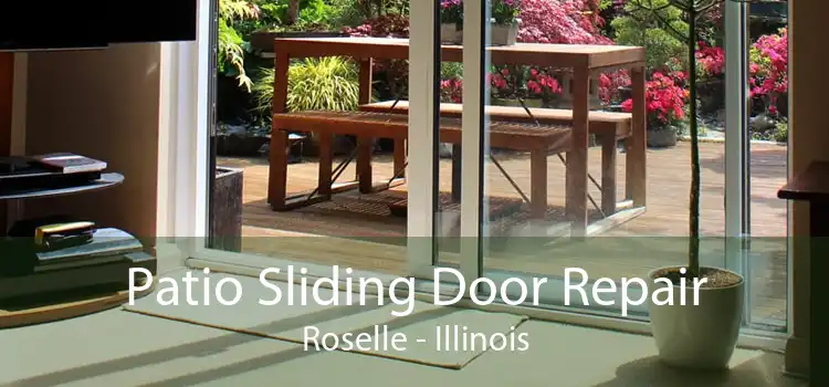 Patio Sliding Door Repair Roselle - Illinois