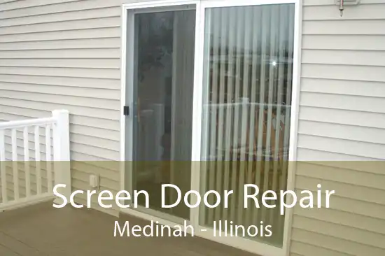 Screen Door Repair Medinah - Illinois