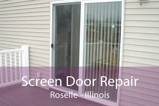 Screen Door Repair Roselle - Illinois