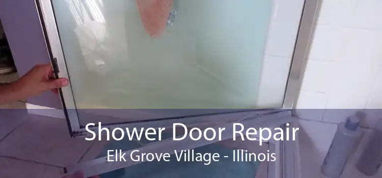 Shower Door Repair Elk Grove Village - Illinois