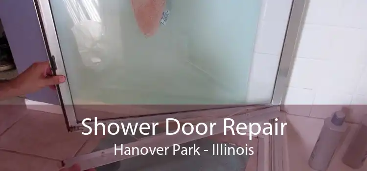 Shower Door Repair Hanover Park - Illinois