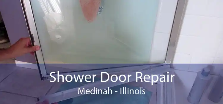 Shower Door Repair Medinah - Illinois