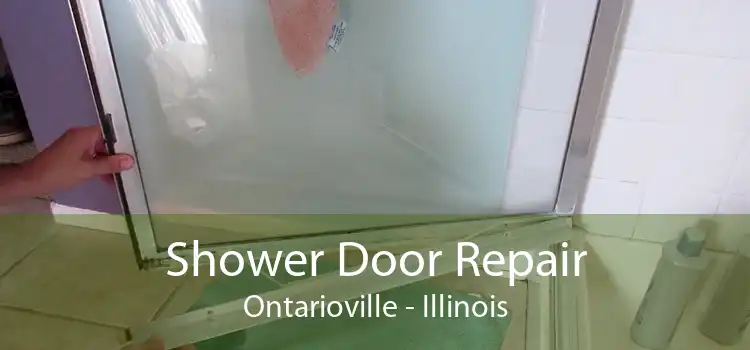 Shower Door Repair Ontarioville - Illinois