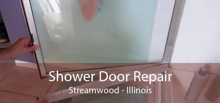 Shower Door Repair Streamwood - Illinois