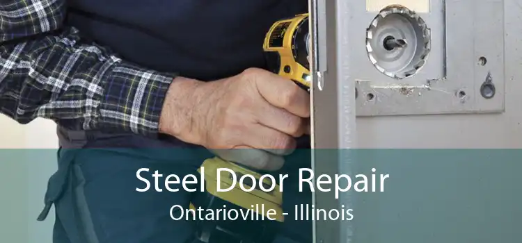 Steel Door Repair Ontarioville - Illinois