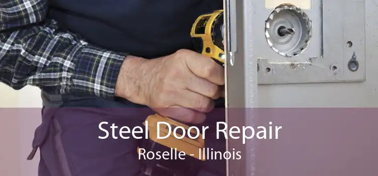 Steel Door Repair Roselle - Illinois