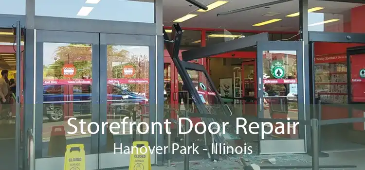 Storefront Door Repair Hanover Park - Illinois