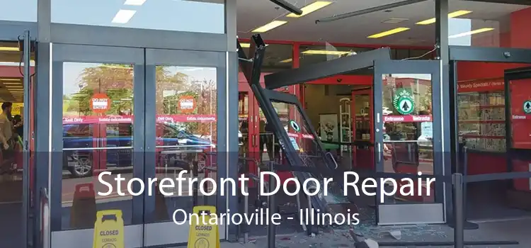 Storefront Door Repair Ontarioville - Illinois