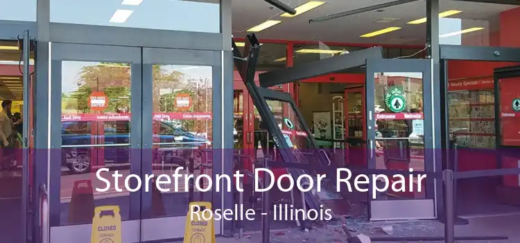 Storefront Door Repair Roselle - Illinois